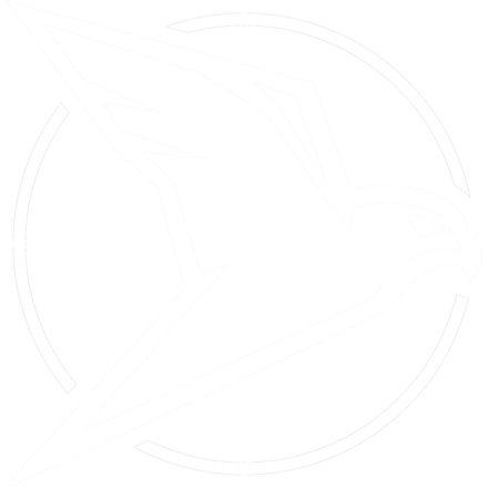 Kestrel falcon